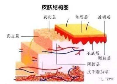 揭開角質的神秘面紗 去角質會讓皮膚變薄嗎？